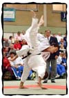 IJF Picture of the Month